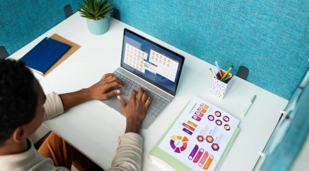 data analyst