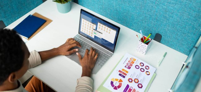 data analyst